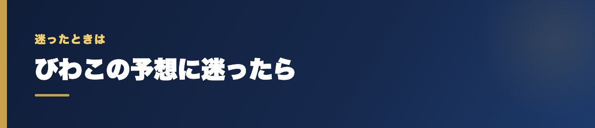 びわこの予想に迷ったら