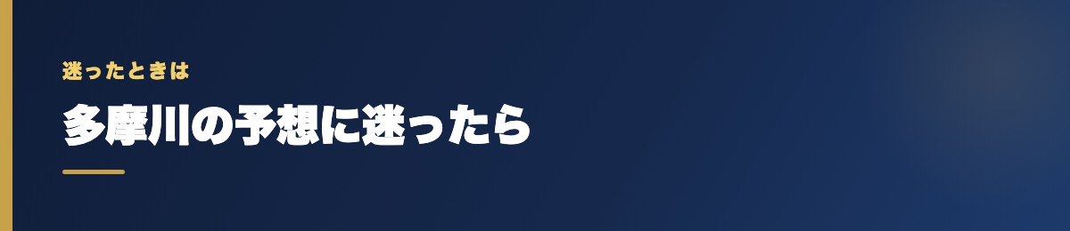 多摩川の予想に迷ったら